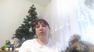 Как Приучить Йорка К Пелёнке | Как Приучить Собаку К Пелёнке
