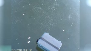 Ловля ротана по перволедью. Открытие сезона подлёдной ловли 2018-2019!