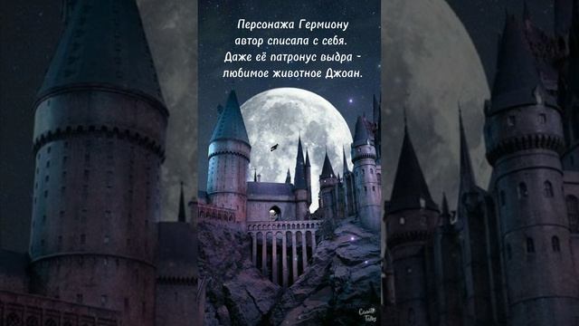 Интересные факты о книге "Гарри Поттер"