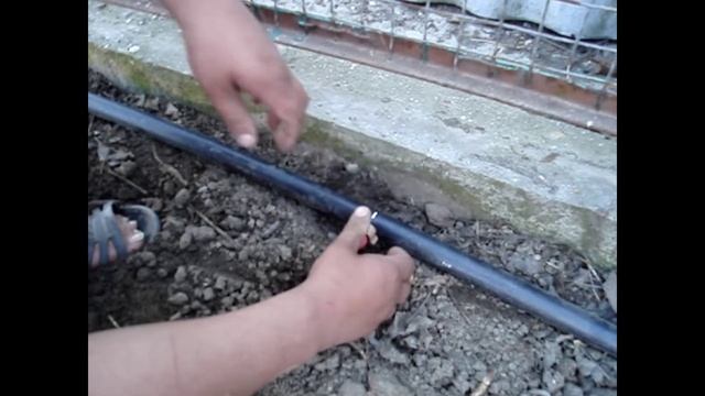 Капелька для "Чайников". Монтаж системы капельного орошения!!!Капельный полив.