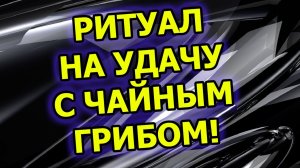 Как привлечь удачу и деньги в свою жизнь и в дом