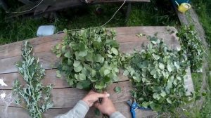 Вяжем веники для бани