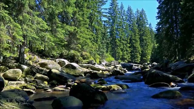 Христианские песни ЕХБ, Ангел с небес