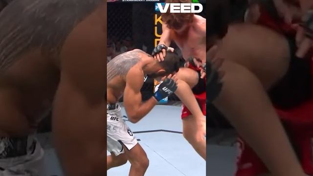 Нокаут от Шары Буллета на UFC!!!