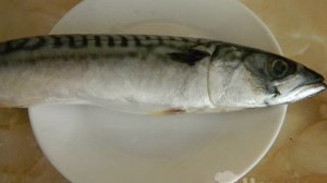 Вареная скумбрия в домашних условиях
