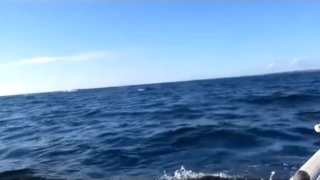 Море море   мир бездонный    2017