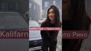 Kalifarniya – Пуэрто Рико