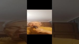 Песня. Отель Калифорния