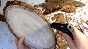 Как сделать спил дерева из картона