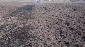 Shifeng244 + дисковая борона Bomet 1.5 по целине