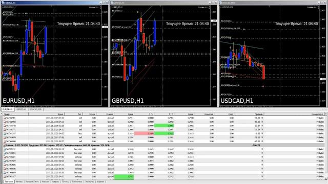 ForexRobot Prishelec 1.0