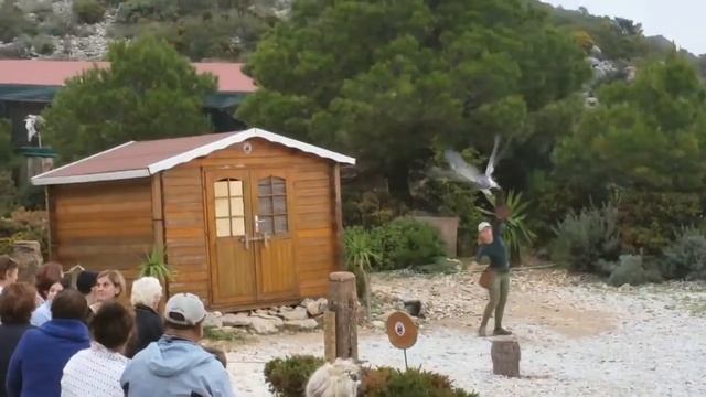 Видео Майнкрафт - Эндермен на канатной дороге смотреть онлайн