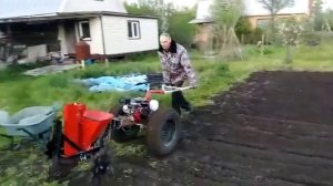 Посадка картофеля сажалкой мотоблоком Вейма 1050.