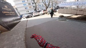 SPIDER MAN HELPED A CRAZY GIRL AND REGRETED THAT I DID IT (Parkour POV Love Best)