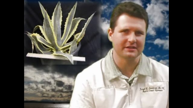 Sugar Alternatives, Aspartame to Stevia, Nutrition Austin смотреть онлайн