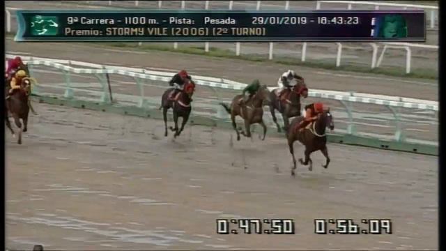 Carr.9 Premio: STORMY VILE (2006) (2°TURNO) 29-01-2019 смотреть онлайн