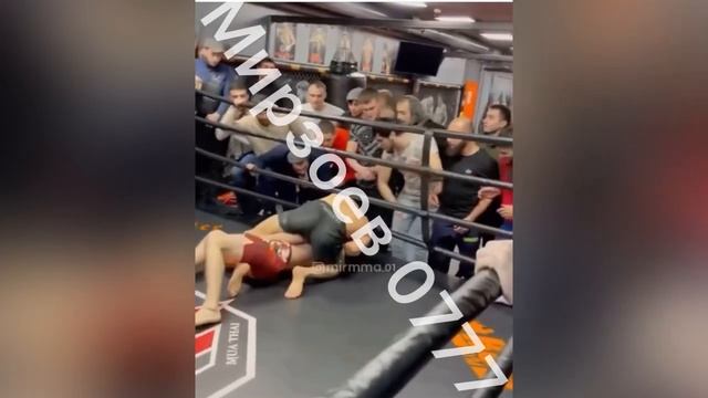 Бой чоршанбе чоршанбиев с Тимур Никулин смотреть онлайн