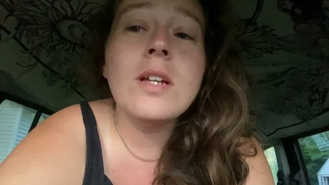 Van Life Beginners First Trip || Ford Transit Connect XLT || Up North Michigan смотреть онлайн