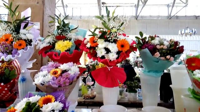 Поздравляю своих подписчиков с первым днем зимы .