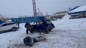 Дрессировка собак в Омске - ОЦССС (5)