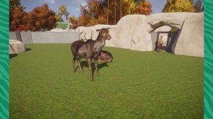 MEGA Mods! - Planet Zoo Mod Showcase