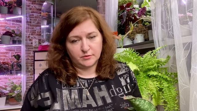 Будни цветовода | Новая сансевиерия и папоротник | Грунт, пересадка | 28.04.2022г. смотреть онлайн