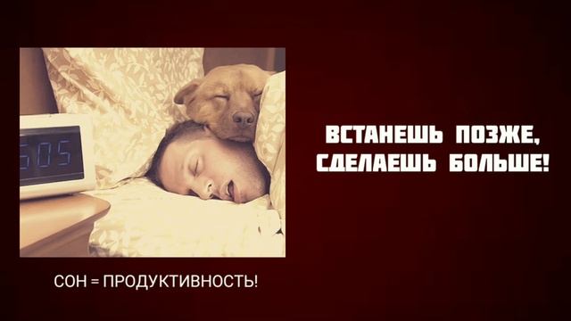 Нужно ли вставать рано? | Влияет ли ранний подъем на результативность?