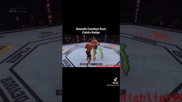 Calvin Kattar Pieces up Jeremy Stephens