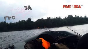 SEA PRO F 2.5. Рыбалка 2016. Открытие сезона. Троллинг.