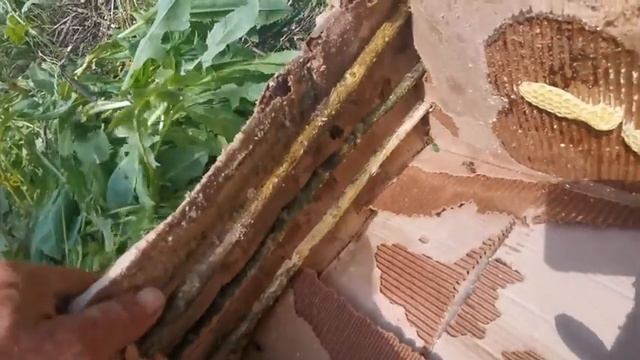 Универсальная ловушка.Дубль 2
