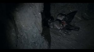 Извне(From) - Разбор Теорий - Интересные Факты