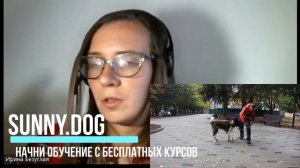 Собака писает дома! Что делать?