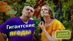 ЗАПиШИ! Баковая смесь для ЯГОД ВЕДРАМИ