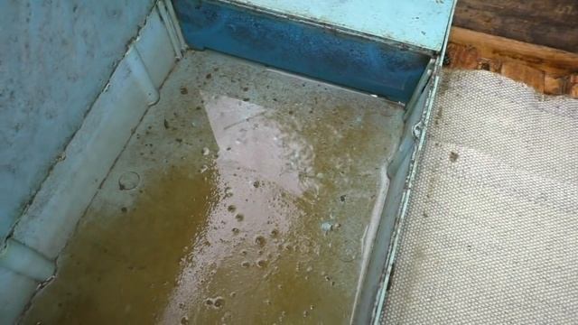 Сколько же воды надо пчелам смотреть онлайн