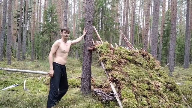 ЗАДРОТ В ЛЕСУ смотреть онлайн