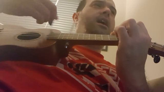 Shes not there on ukelele