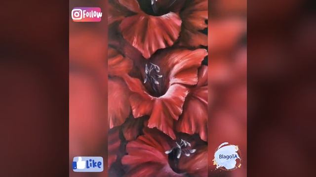 Oil on canvas flower painting "Gladiolus velvet" Size 16"x20" смотреть онлайн