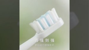 Зубная электрическая щетка XIAOMI MIJIA T302