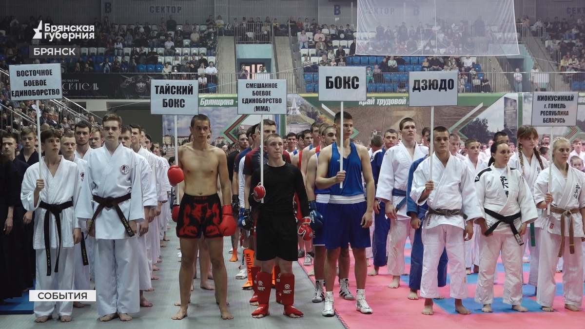 На Фестивале единоборств в Брянске выступили представители 19 видов спорта