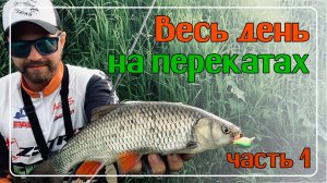 ВЕСЬ ДЕНЬ НА ПЕРЕКАТАХ. Часть 1 рыбалка