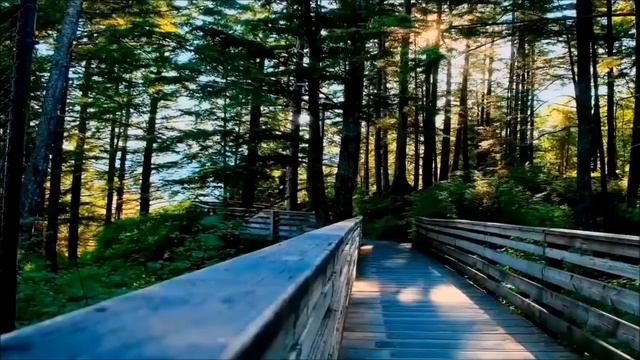 Техника Правильной Медитации для расслабления на всех уровнях смотреть онлайн