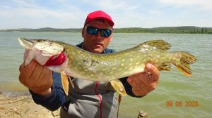 Ловля щуки летом на живца.