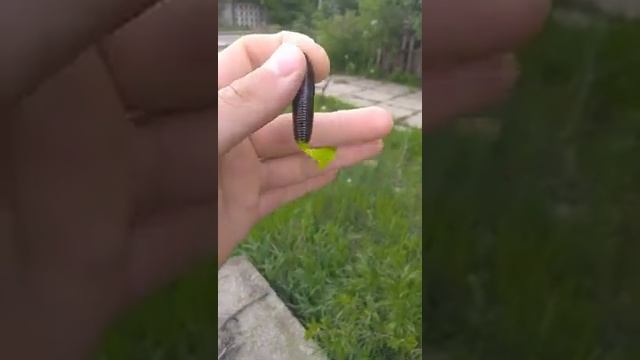 Силиконовые приманки.  приманки на щуку. ПРИМАНКИ.