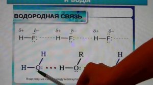 Водородная связь. Типы и свойства водородной связи.