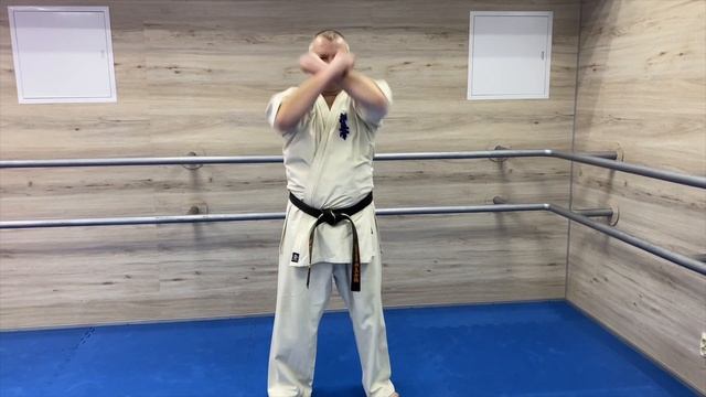 Идо гейко + ката каратэ киокушинкай (7-й кю) смотреть онлайн