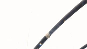 ПОДВЯЗКА ПОМИДОР В ТЕПЛИЦЕ - ЛУЧШИЙ И УДОБНЫЙ СПОСОБ