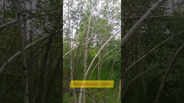 Аномальная зона смотреть онлайн