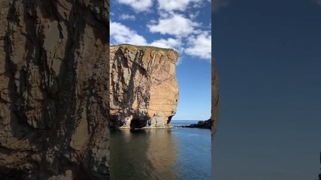 Bonaventure island- the Percé- Gaspé Peninsula Quebec Canada