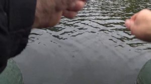 Плотва с лодки зимней удочкой