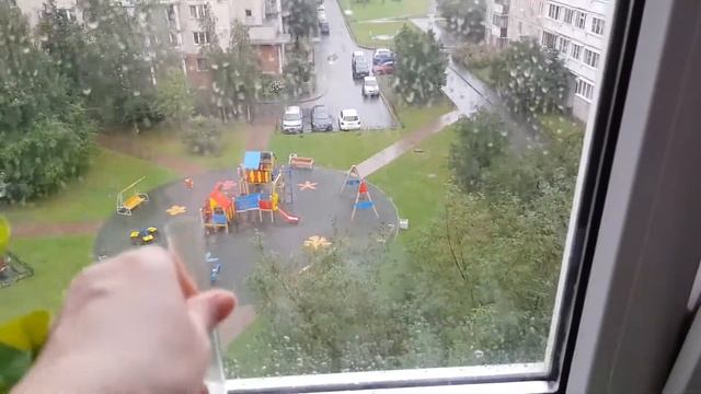 Ужасная сенполия, укоренение цветоносов, удаление известкового налёта, фиттония, церопегия, очиток смотреть онлайн